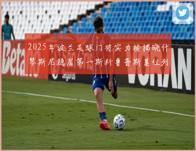 2025年波兰足球门将实力榜揭晓什琴斯尼稳居第一斯科鲁普斯基位列第三